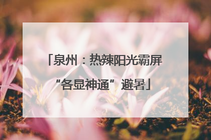 泉州：热辣阳光霸屏 “各显神通”避暑