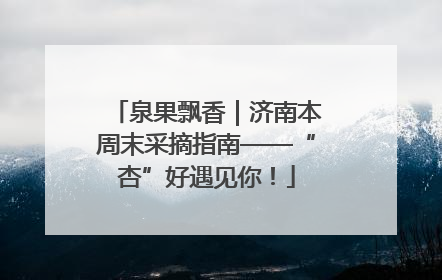 泉果飘香｜济南本周末采摘指南——“杏”好遇见你！