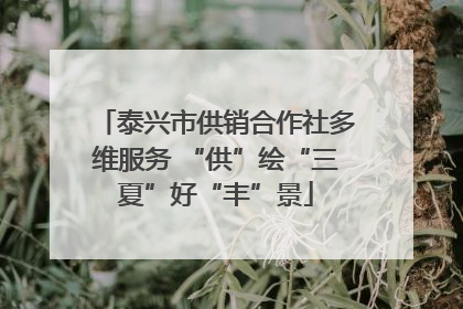 泰兴市供销合作社多维服务 “供”绘“三夏”好“丰”景
