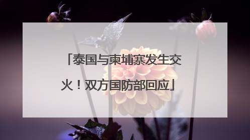 泰国与柬埔寨发生交火！双方国防部回应