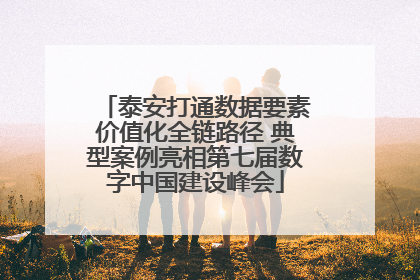 泰安打通数据要素价值化全链路径 典型案例亮相第七届数字中国建设峰会