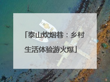 泰山炊烟巷：乡村生活体验游火爆