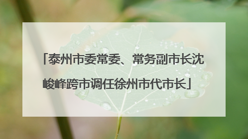 泰州市委常委、常务副市长沈峻峰跨市调任徐州市代市长