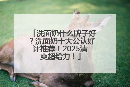 洗面奶什么牌子好？洗面奶十大公认好评推荐！2025清爽超给力！