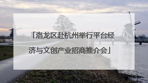 洛龙区赴杭州举行平台经济与文创产业招商推介会