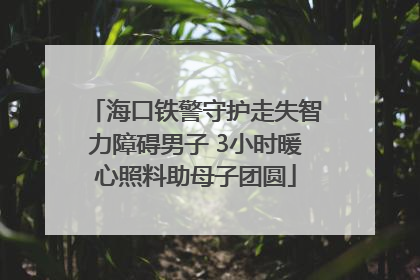 海口铁警守护走失智力障碍男子 3小时暖心照料助母子团圆