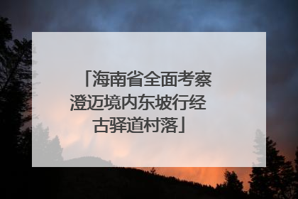 海南省全面考察澄迈境内东坡行经古驿道村落