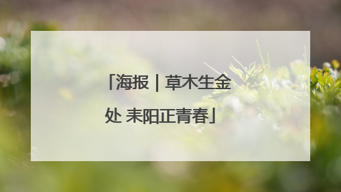 海报｜草木生金处 耒阳正青春