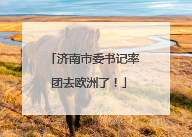 济南市委书记率团去欧洲了！