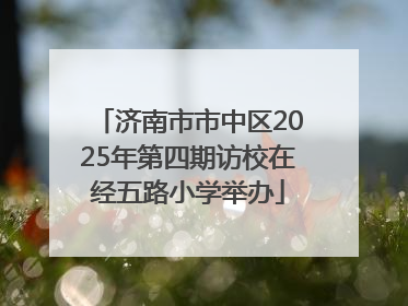 济南市市中区2025年第四期访校在经五路小学举办