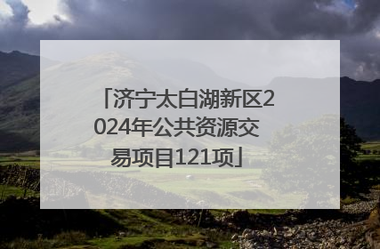 济宁太白湖新区2024年公共资源交易项目121项