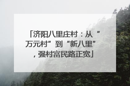 济阳八里庄村：从“万元村”到“新八里”，强村富民路正宽