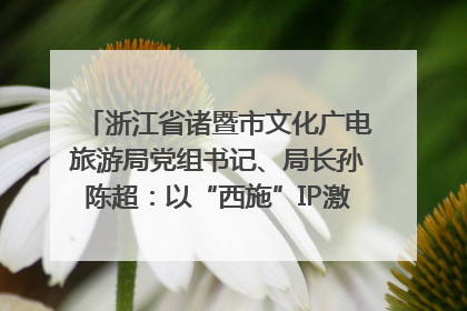 浙江省诸暨市文化广电旅游局党组书记、局长孙陈超：以“西施”IP激活全域旅游 打造县域文旅融合新标杆｜第七届全国县域旅游研究成果发布系列活动