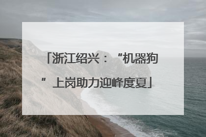 浙江绍兴：“机器狗”上岗助力迎峰度夏