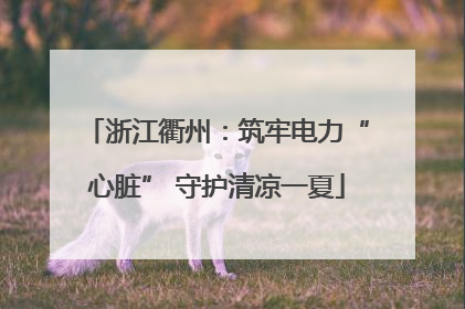 浙江衢州：筑牢电力“心脏” 守护清凉一夏