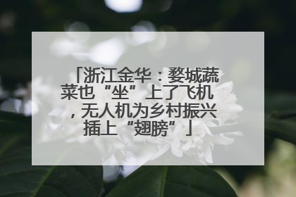 浙江金华：婺城蔬菜也“坐”上了飞机，无人机为乡村振兴插上“翅膀”