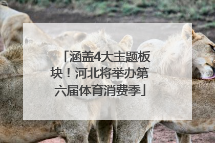 涵盖4大主题板块！河北将举办第六届体育消费季