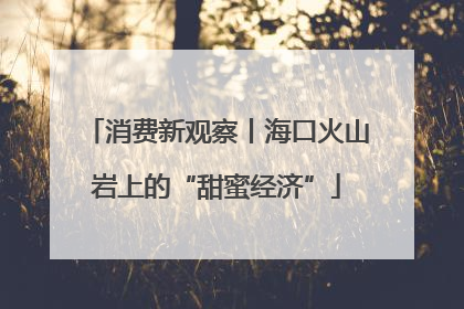 消费新观察丨海口火山岩上的“甜蜜经济”