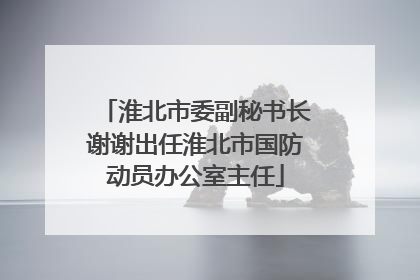 淮北市委副秘书长谢谢出任淮北市国防动员办公室主任