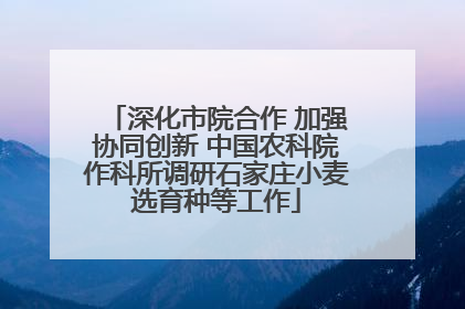 深化市院合作 加强协同创新 中国农科院作科所调研石家庄小麦选育种等工作