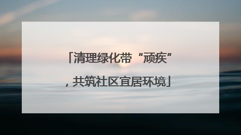 清理绿化带“顽疾”，共筑社区宜居环境
