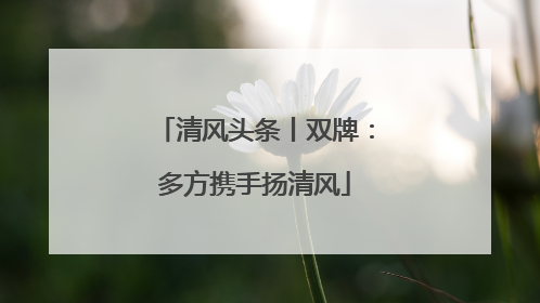 清风头条丨双牌：多方携手扬清风