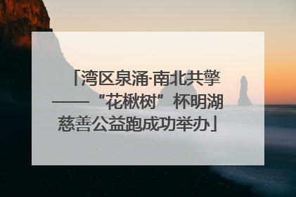 湾区泉涌·南北共擎——“花楸树”杯明湖慈善公益跑成功举办