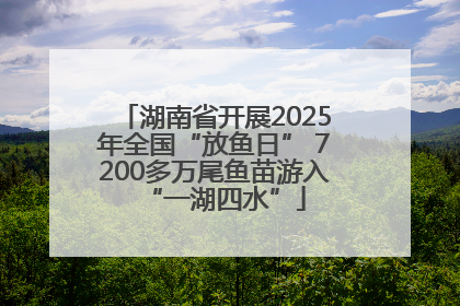 湖南省开展2025年全国“放鱼日” 7200多万尾鱼苗游入“一湖四水”
