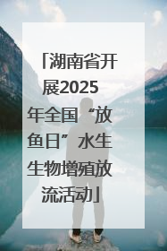 湖南省开展2025年全国“放鱼日”水生生物增殖放流活动