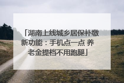 湖南上线城乡居保补缴新功能：手机点一点 养老金提档不用跑腿