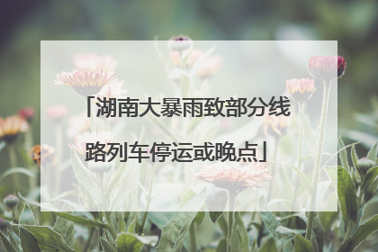 湖南大暴雨致部分线路列车停运或晚点