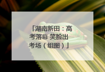 湖南新田：高考落幕 笑脸出考场（组图）