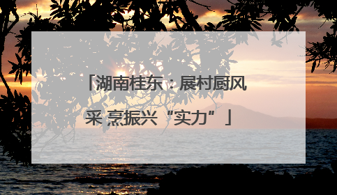 湖南桂东：展村厨风采 烹振兴“实力”