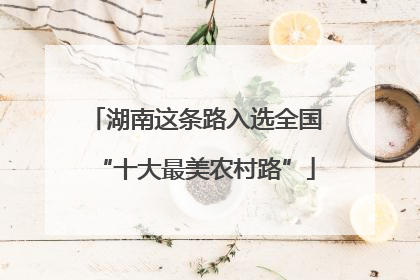 湖南这条路入选全国“十大最美农村路”