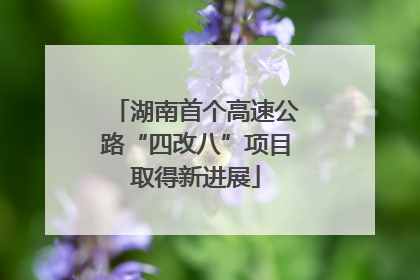 湖南首个高速公路“四改八”项目取得新进展