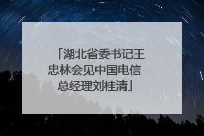 湖北省委书记王忠林会见中国电信总经理刘桂清