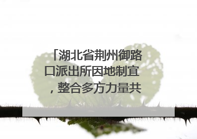 湖北省荆州御路口派出所因地制宜，整合多方力量共建平安校园
