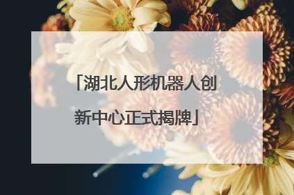 湖北人形机器人创新中心正式揭牌