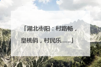 湖北枣阳：村路畅，皇桃俏，村民乐……