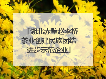 湖北赤壁赵李桥茶业创建民族团结进步示范企业