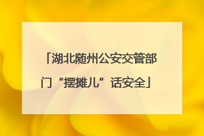 湖北随州公安交管部门“摆摊儿”话安全