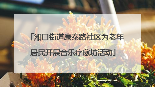 湘口街道康泰路社区为老年居民开展音乐疗愈坊活动