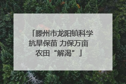 滕州市龙阳镇科学抗旱保苗 力保万亩农田“解渴”
