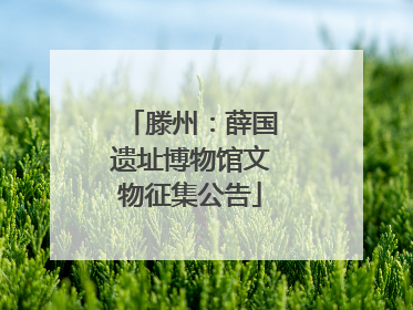 滕州：薛国遗址博物馆文物征集公告