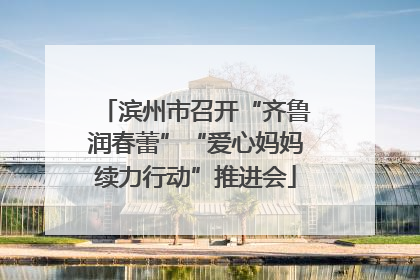 滨州市召开“齐鲁润春蕾”“爱心妈妈续力行动”推进会