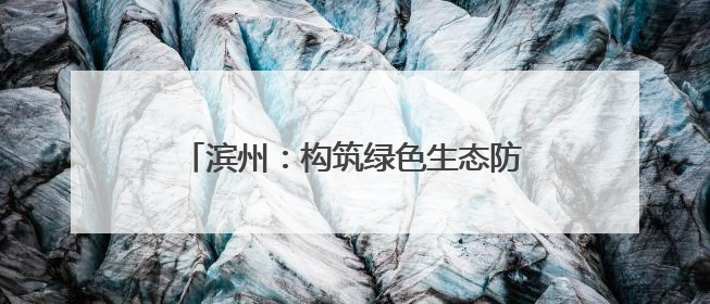 滨州：构筑绿色生态防护体系 推动黄河流域生态保护和高质量发展