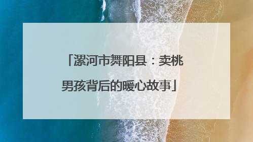 漯河市舞阳县：卖桃男孩背后的暖心故事