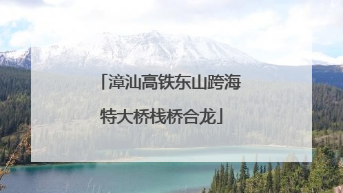漳汕高铁东山跨海特大桥栈桥合龙