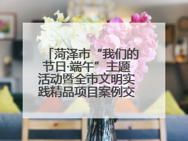 菏泽市“我们的节日·端午”主题活动暨全市文明实践精品项目案例交流活动举办