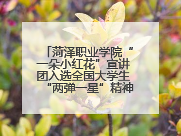 菏泽职业学院“一朵小红花”宣讲团入选全国大学生“两弹一星”精神宣讲团